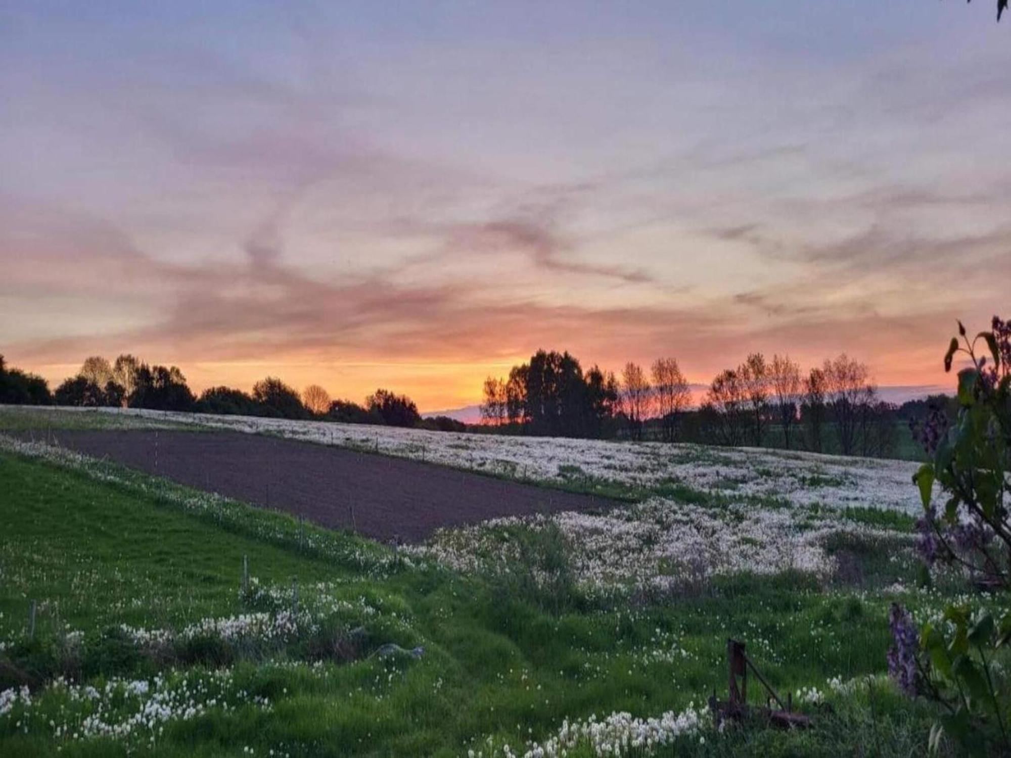 Lysbjerg Fåborg Exterior foto